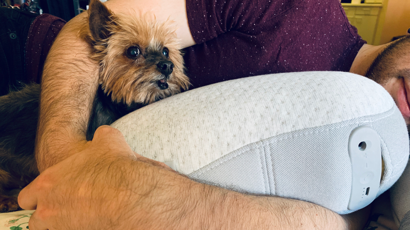 The dog is not a fan. She will regularly try and squeeze between her humans and the Somnox.
